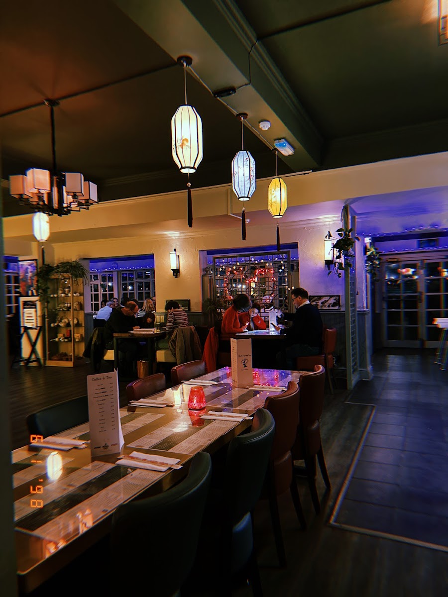 The Dumpling Tree Bar & Restaurant